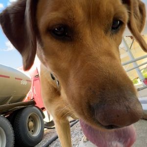 Meet your Posher, Bram